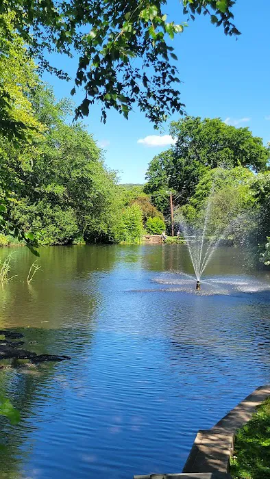 Roosevelt Common Picture 5