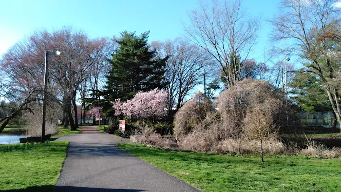 Roosevelt Common Picture 7