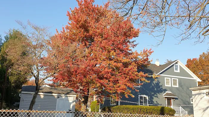Brookline Park Add Picture 8
