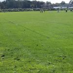 Brookline Park Add