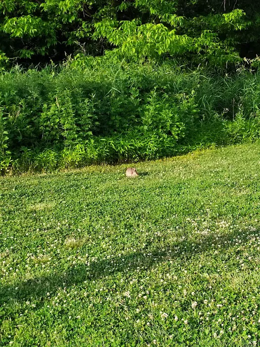 Brookline Park Add Picture 3