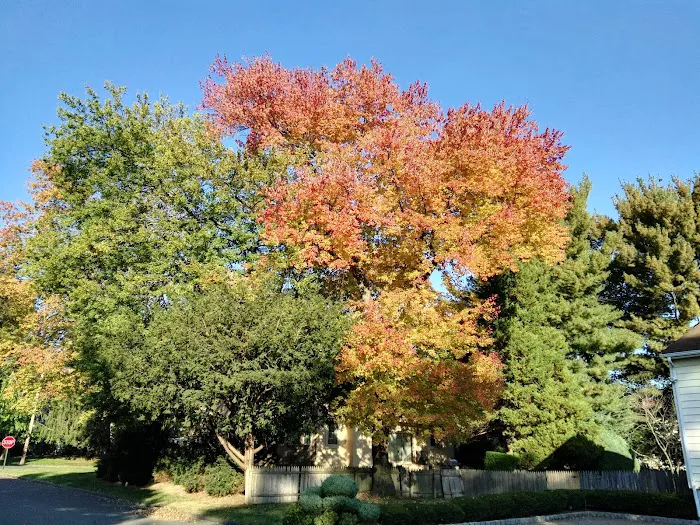 Brookline Park Add Picture 9