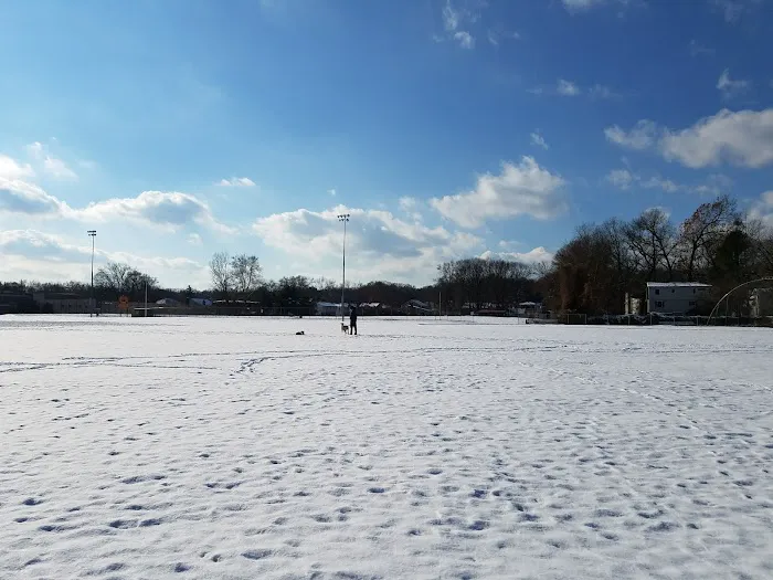 Brookline Park Add Picture 4
