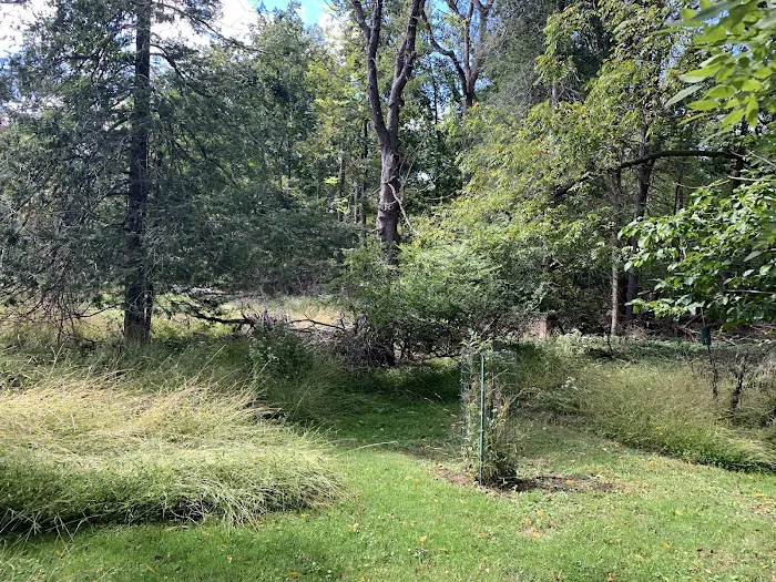 Davies Arboretum & Wildlife Preserve Picture 6