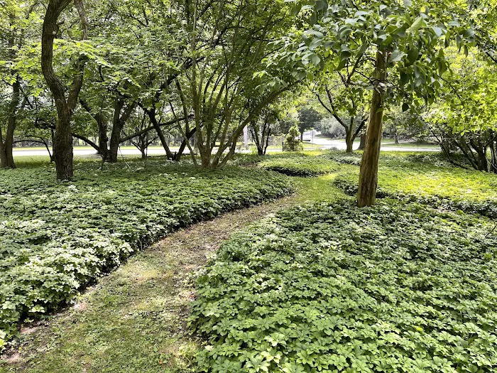 Davies Arboretum & Wildlife Preserve Picture 4