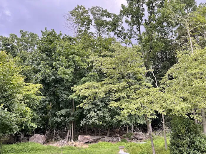 Davies Arboretum & Wildlife Preserve Picture 8