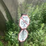 Palisades Park Alternate Parking