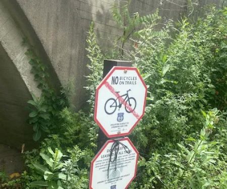 Palisades Park Alternate Parking