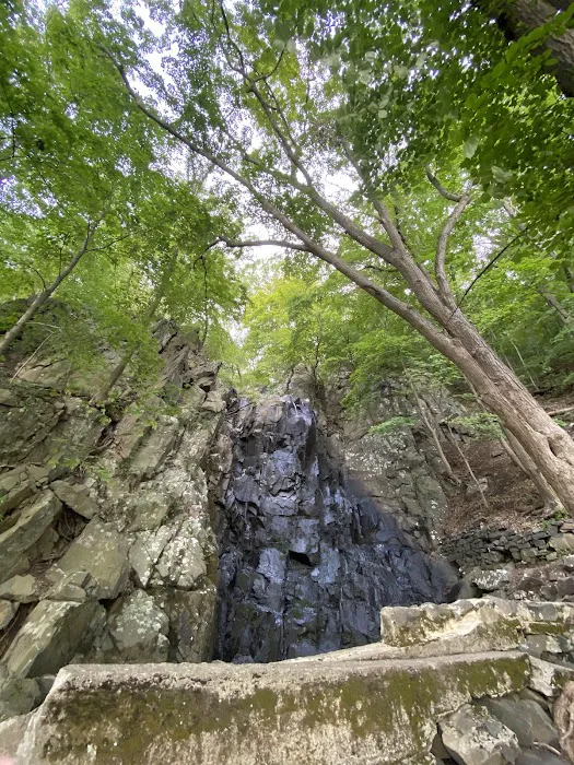 Palisades Hiking Spot Picture 9