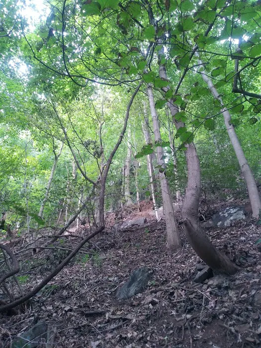 Alpine Picnic Area, Palisades Interstate Park Commission: Picture 3