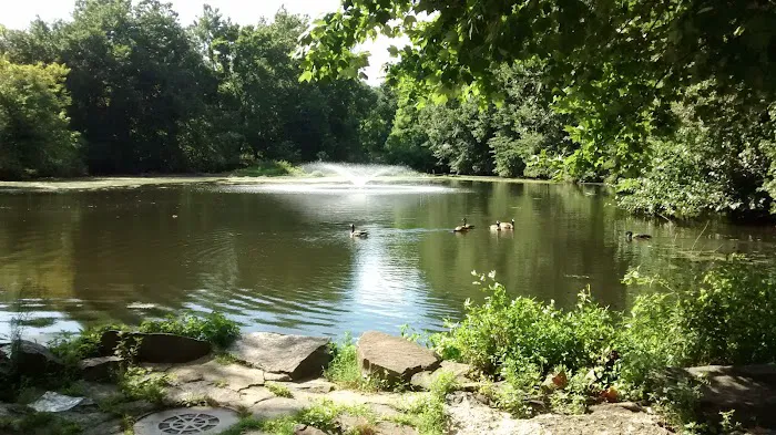 Morrow Park Picture 6