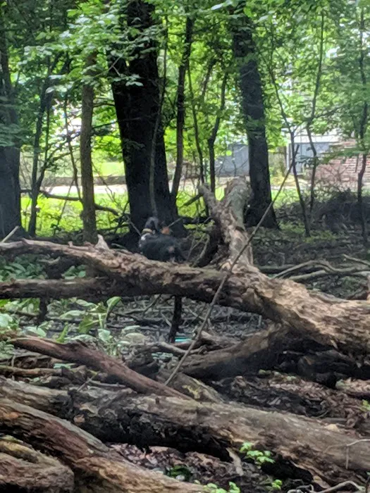 Argonne Park Picture 1