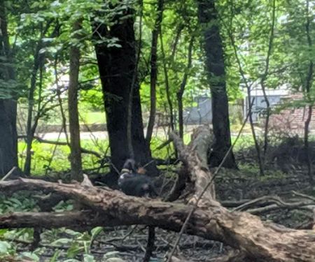 Argonne Park