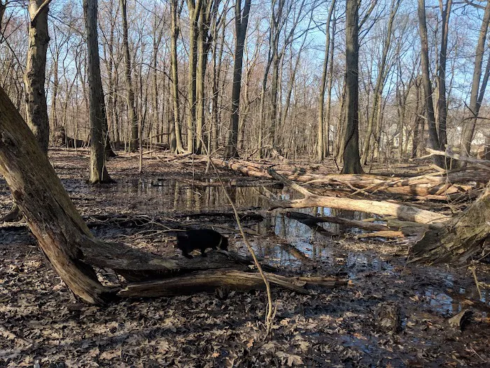 Argonne Park Picture 9