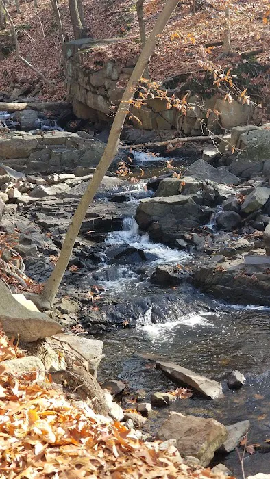 Flat Rock Brook Trailhead Picture 5