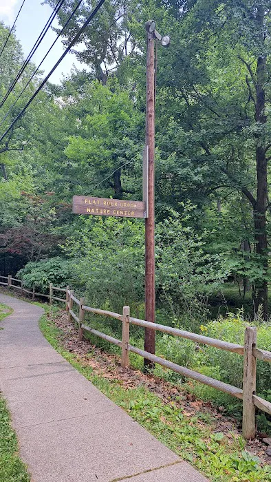 Flat Rock Brook Trailhead Picture 6