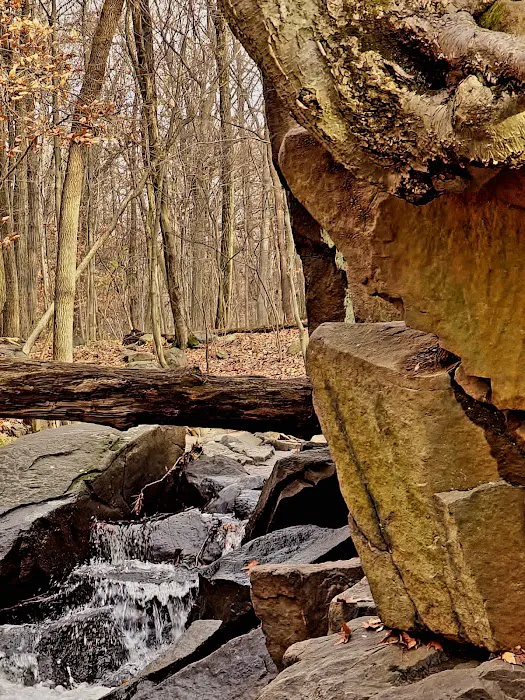 Flat Rock Brook Trailhead Picture 7