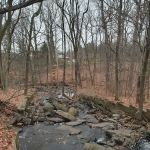 Flat Rock Brook Trailhead