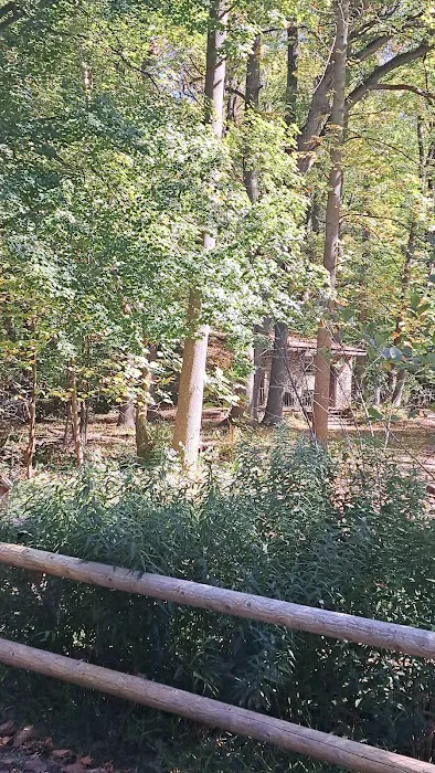 Flat Rock Brook Trailhead Picture 4