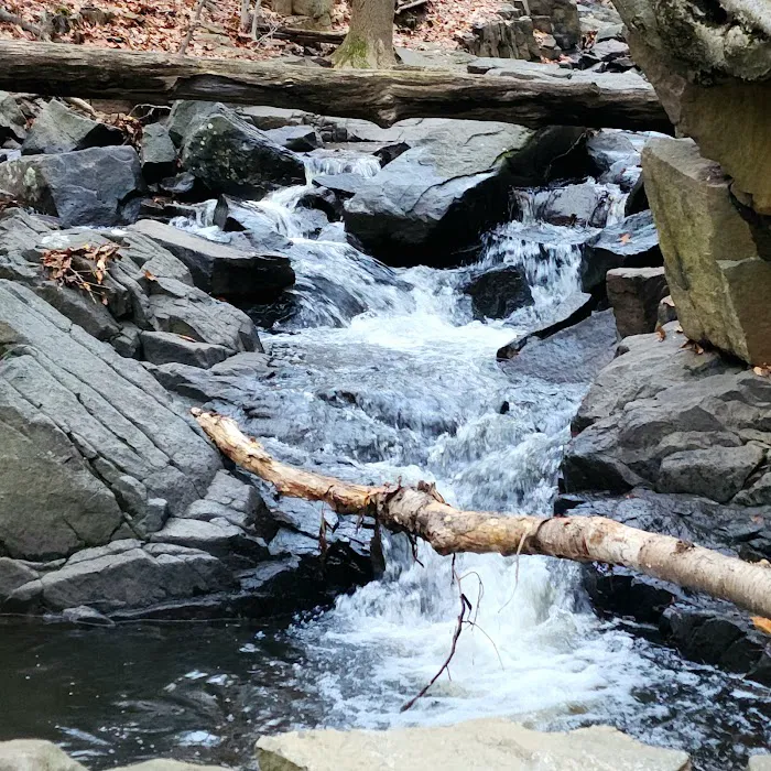 Flat Rock Brook Trailhead Picture 9