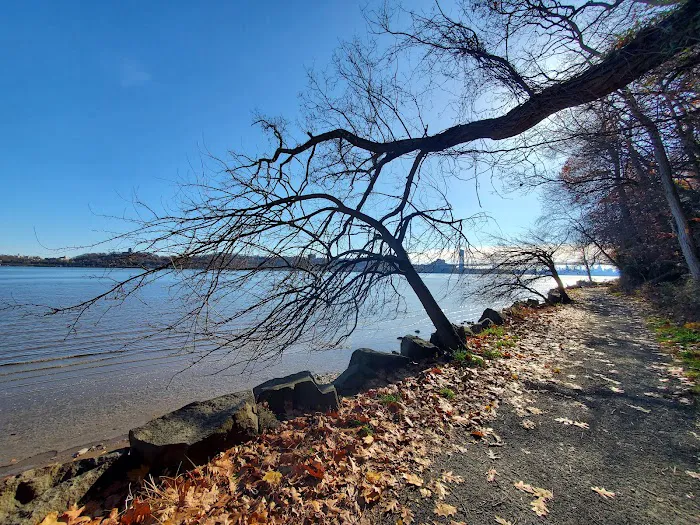 Allison Park Picture 6