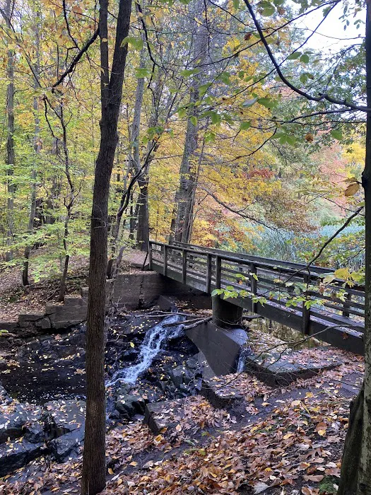 Flat Rock Brook Nature Center Picture 1