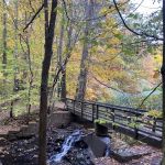 Flat Rock Brook Nature Center