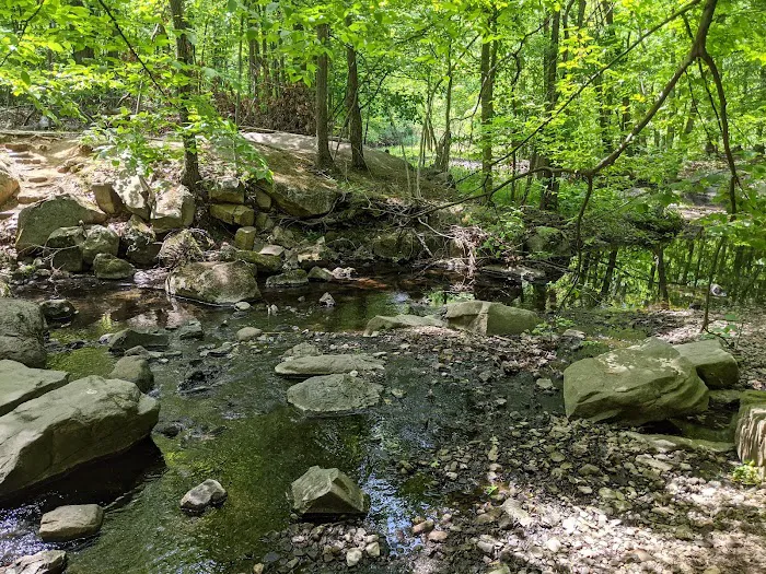 Flat Rock Brook Nature Center Picture 2