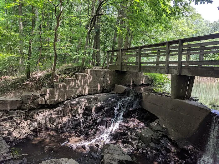 Flat Rock Brook Nature Center Picture 4
