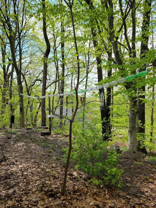 Flat Rock Brook Nature Center Picture 5