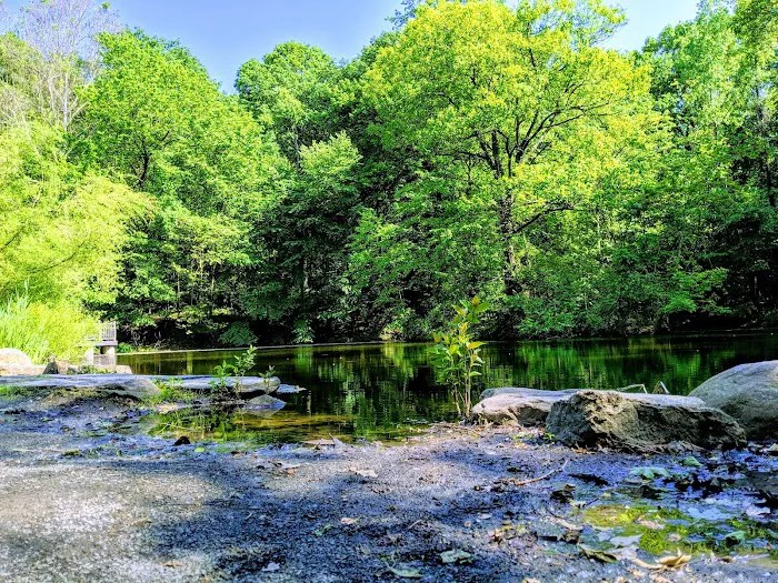 Flat Rock Brook Nature Center Picture 3