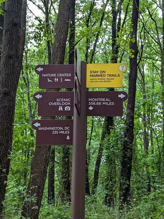 Flat Rock Brook Nature Center Picture 8
