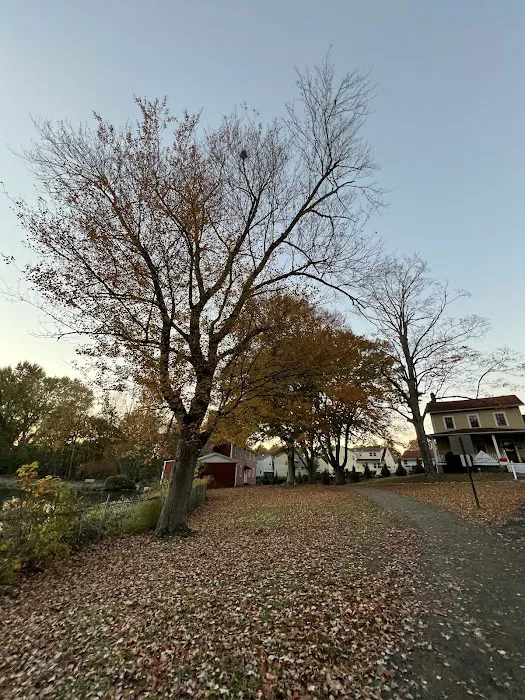 John M. Lafferty Park Picture 6
