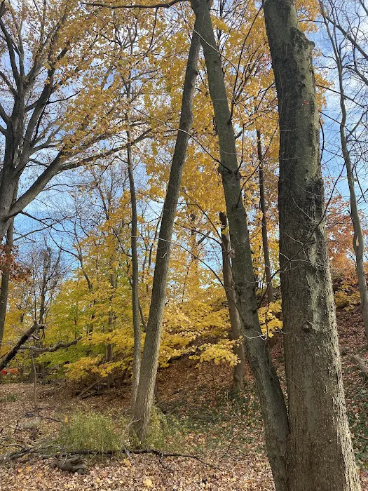 Coytesville Park Picture 6