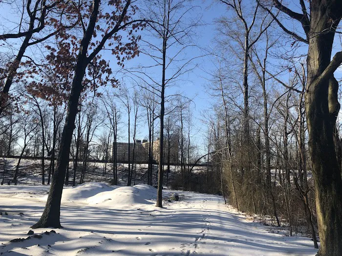Coytesville Park Picture 3