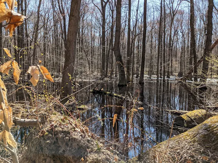 Tallman Mountain State Park Picture 1