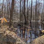 Tallman Mountain State Park