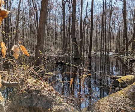 Tallman Mountain State Park
