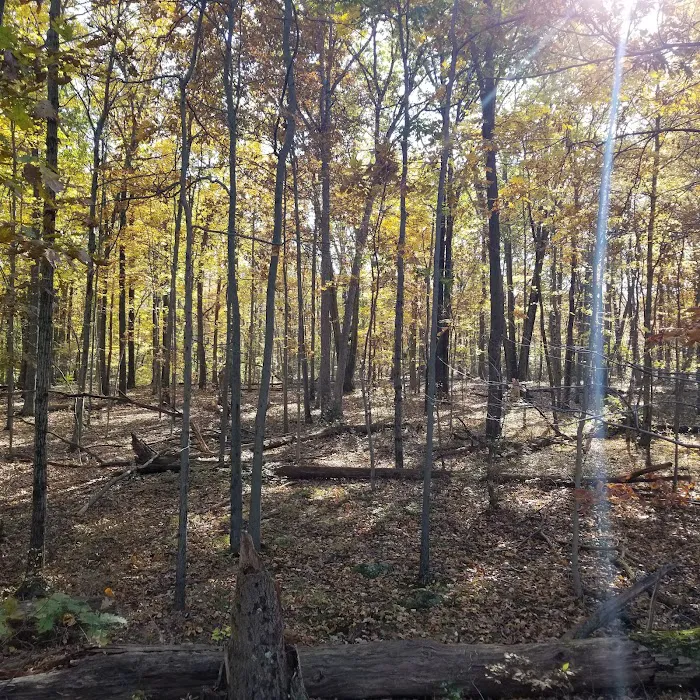 Tallman Mountain State Park Picture 10