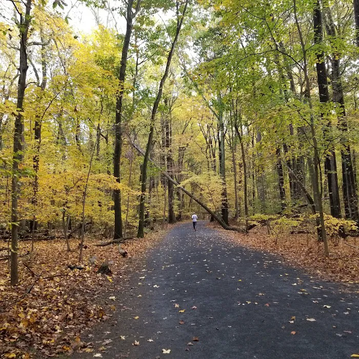 Tallman Mountain State Park Picture 9