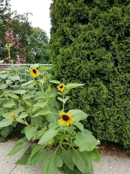 Deluca Park Picture 5