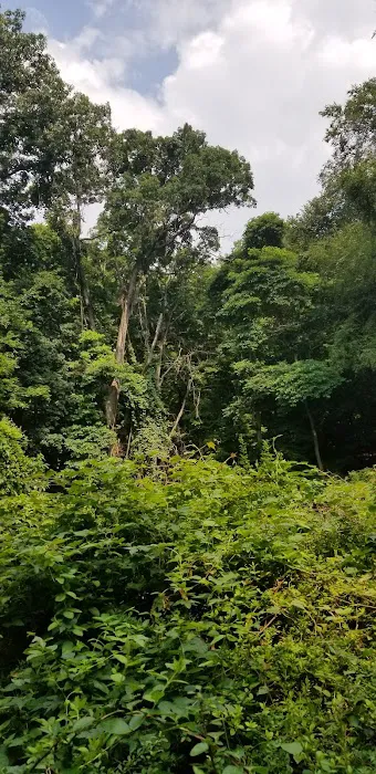 Taxter Ridge Preserve Parking Picture 1