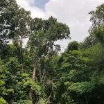 Taxter Ridge Preserve Parking