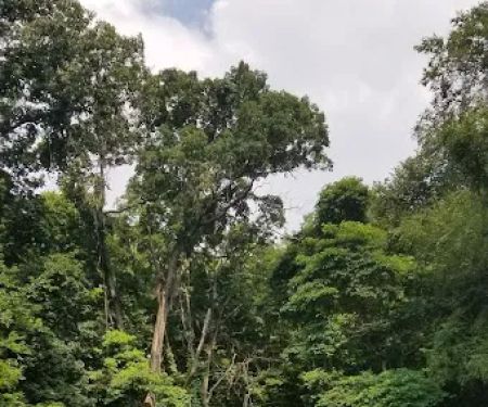 Taxter Ridge Preserve Parking