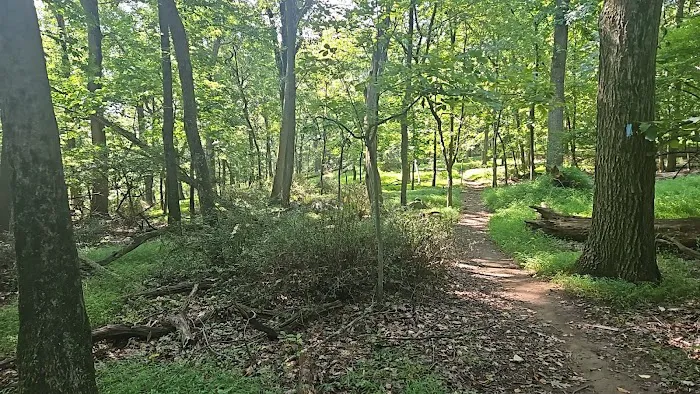 Taxter Ridge Preserve Parking Picture 6
