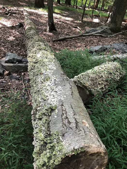 Taxter Ridge Preserve Parking Picture 5
