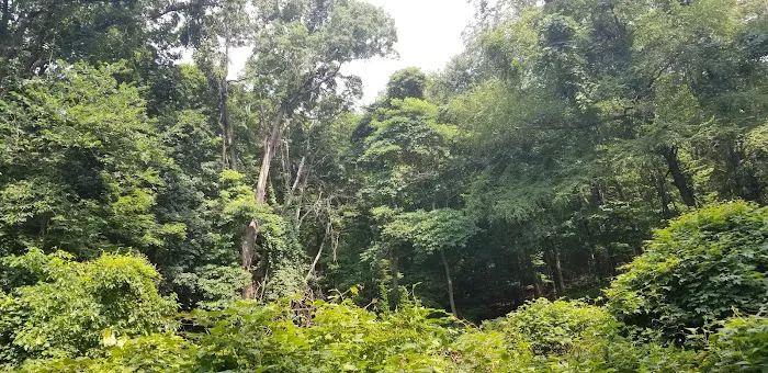 Taxter Ridge Preserve Parking Picture 2