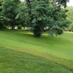 Carol Nichols Park