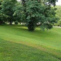 Carol Nichols Park ico