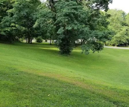 Carol Nichols Park